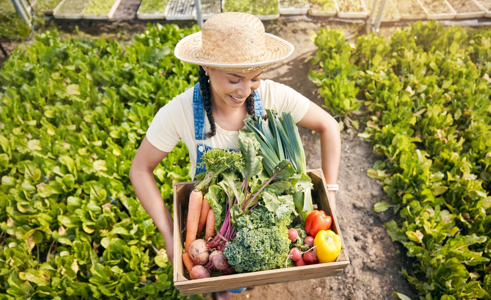 Rebranding e E-commerce per Negozio alimentari Biologici
